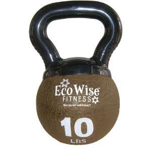    Ecowise 10Lb Mini Kettlebell Medicine Ball