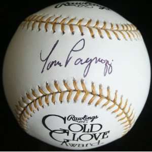 Tom Pagnozzi Signed Baseball   Gold Glove Jsa   Autographed Baseballs