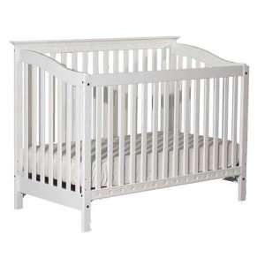  Terra Lifetime Convertible Crib Baby