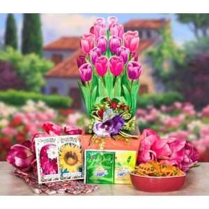 Tulips Gift Box Gift Basket: Grocery & Gourmet Food
