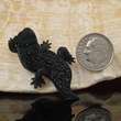 THORNY LIZARD Small Buffalo HORN Carving Pendant Hand carved in Bali 2 