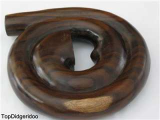 SPIRAL SNAIL Emazing Compact Didgeridoo 62@12+BAG Hand Carved Sono 