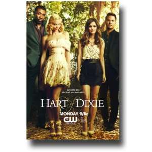  Hart of Dixie Poster   TV Show Promo Flyer   11 x 17   Dixie 