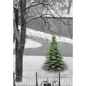 Christmas Tree in the Park   Boxed Holiday Christmas Greeting Cards 