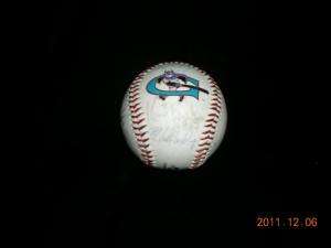Vintage 90s Greensboro Bats Team Signed Baseball Minor League 