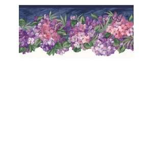   Wallpaper Steves Color Collection Borders BC1584532