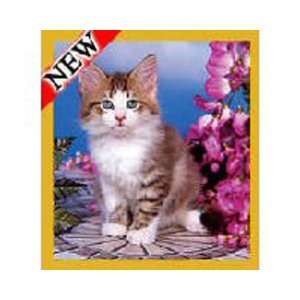 Magnetic Bookmark Flower Garden Kitten, Beautiful and 