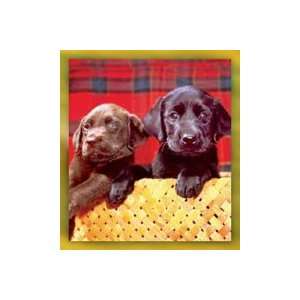  Labrador Puppy Pair Magnetic Bookmark: Office Products