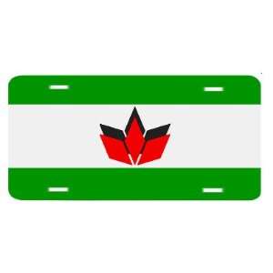  Hungarian Romanian Hungary Flag Auto License Plate 