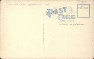 Coatesville PA Brandywine Creek c1910 Postcard  