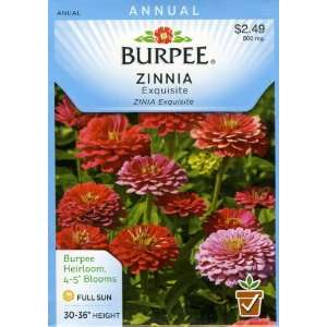  Burpee 34286 Zinnia Exquisite Seed Packet Patio, Lawn 
