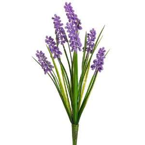   Hyacinth Flower Bush  Dark Lavender (case of 12)
