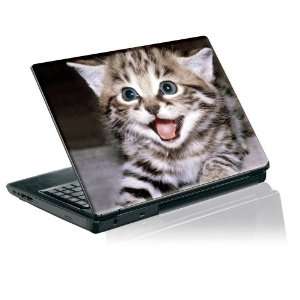  laptop skin protective decal surprised little kitten Electronics
