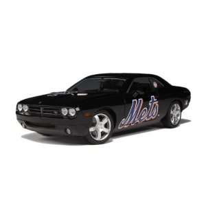   Concept Car 1:18 Scale Die Cast:  Sports & Outdoors