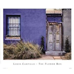   Flower Box Finest LAMINATED Print Louis Cantillo 18x15: Home & Kitchen