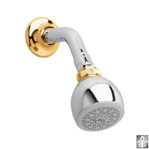 American Standard 8888.074.299 Polished Chrome/Brass Mixage Easy Clean 