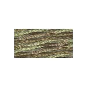  Embroidery Floss Celadon (5 Pack)