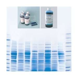 DyeHard Protein Staining solution, 500ml  Industrial 