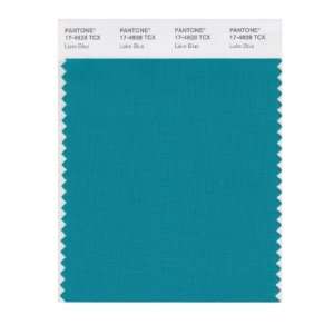   PANTONE SMART 17 4928X Color Swatch Card, Lake Blue: Home Improvement