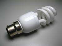12V CFL Light Bulb, Use with Solar Panels, Marine , Yachts , Motor 