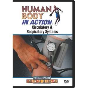  Circulatory & Respiratory Systems (DVD) 