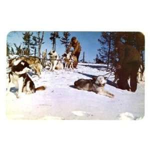  Hudson Bay Company Sled Dogs Souvenir Postcard Everything 