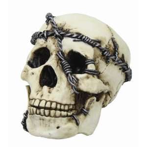  Skull with Chains Skull Head Statue Cold Cast Resin 
