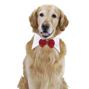 DOG BOWTIE   Putting on The Ritz Red Holiday Bowtie   Large   PET 