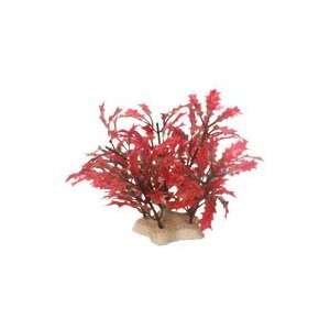   Natural Elements Crimson Water Holly   Cluster   4 5 in.: Pet Supplies