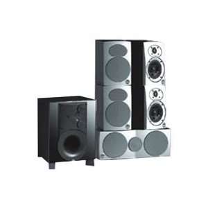   Speaker System w/ Surround Speakers & Active Subwoofer: Electronics