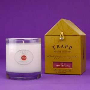  Sexy Cinnamon Large Trapp Candle No. 39