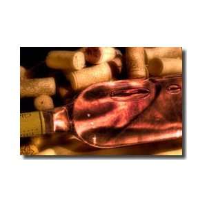  Wine Bottle And Corks Giclee Print