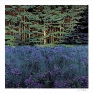  Shadowed Meadow, Sunlit Pines Finest LAMINATED Print Jon 