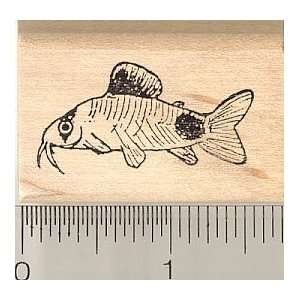  Panda Cory Fish Rubber Stamp: Arts, Crafts & Sewing