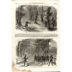  Federal Army Sentries, Unionist Scouts 1861 Civil War 1861 