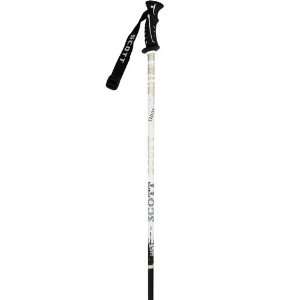  Scott 540 Ski Poles Gray