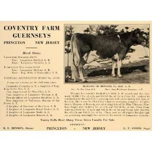   Guernsey Cow R L Benson Records   Original Print Ad