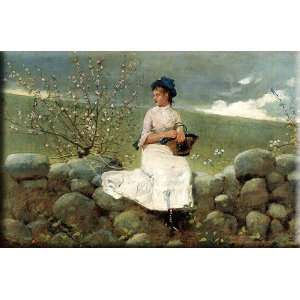   Blossoms 16x10 Streched Canvas Art by Homer, Winslow