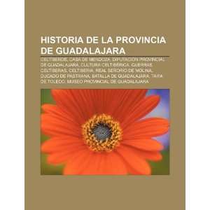   (Spanish Edition) (9781231542897) Fuente Wikipedia Books