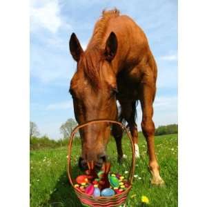  Horse and Easter Basket Greeting Cards Health & Personal 