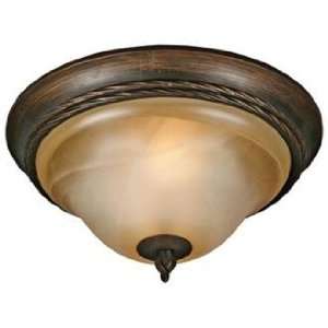  Meridian Collection 14 Wide Ceiling Light Fixture: Home 