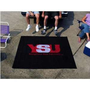   Indoor / Outdoor Tailgater Area Rug Floor Mat