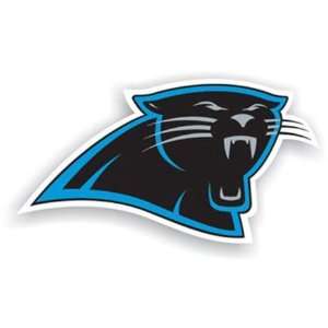  NIB Carolina Panthers NFL Two 12in Fridge Magnets: Sports 