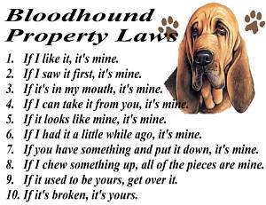 PARCHMENT PRINT = BLOODHOUND DOG FUNNY PROPERTY LAWS  