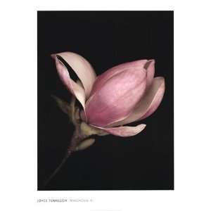  Magnolia Ii   Poster by Joyce Tenneson (30 x 40)