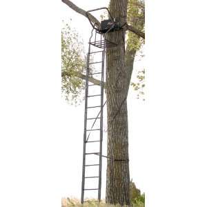 Big Game 20 Ultra   Max Ladder Tree Stand:  Sports 