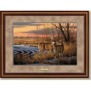 Rosemary Millette   Daybreak   Whitetail Deer Framed 
