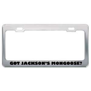 Got JacksonS Mongoose? Animals Pets Metal License Plate Frame Holder 