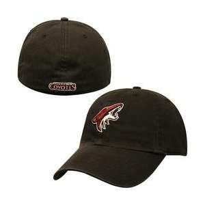  Twins 47 Phoenix Coyotes Franchise Fitted Hat   Coyotes 