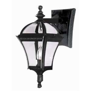  One Light Small Outdoor Wall Lantern Size: H16.00 X W7.00 